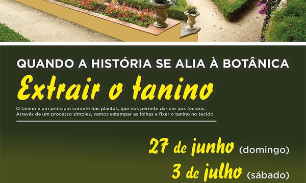 extrair_o_tanino