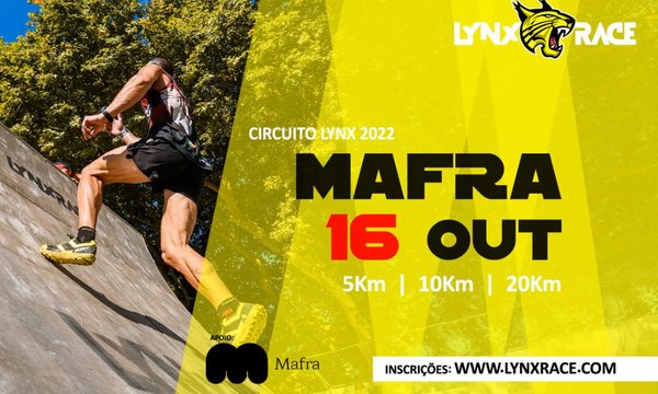 circuito_lynx_race