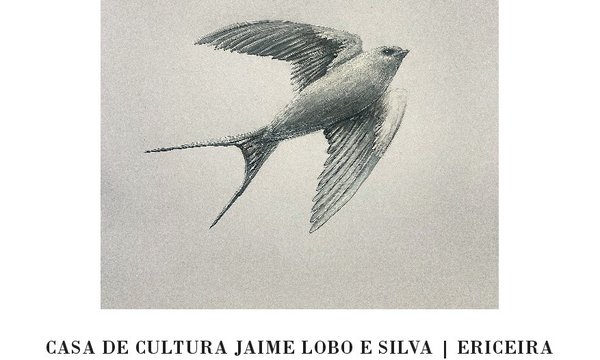 cartaz_exp_colecao_arte_municipal