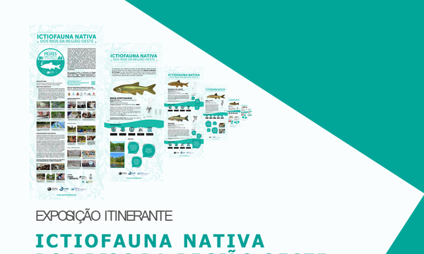 cartaz_social_media_mafra_1a_quinzena_2