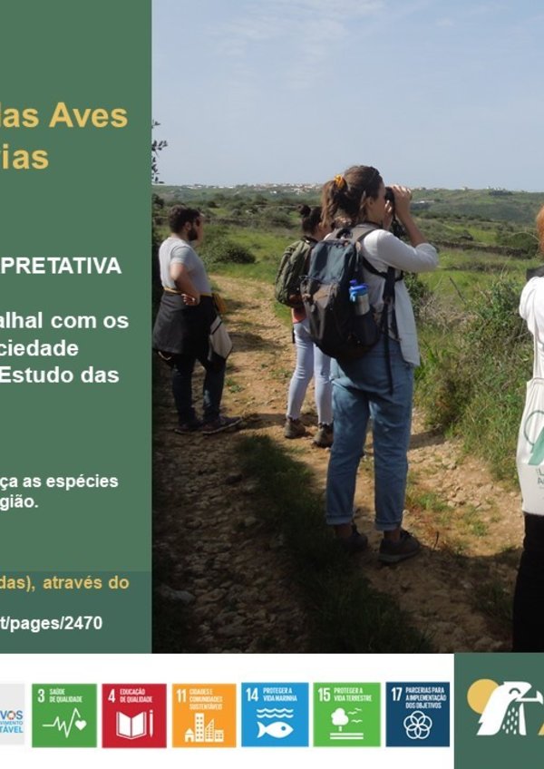 dia_das_aves_migratorias