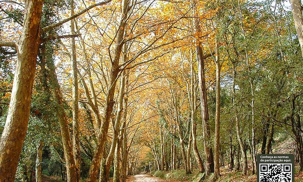 mostra_fotografia_a_descoberta_da_geodiversidade_redes_sociais