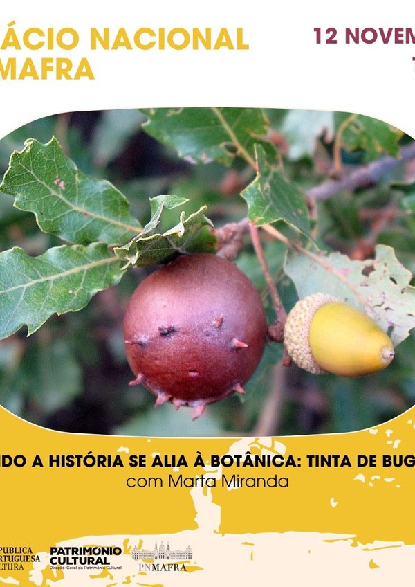 tinta_de_bugalho___cartaz__1_