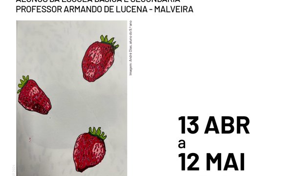 rede_exposicao_diarios_graficos