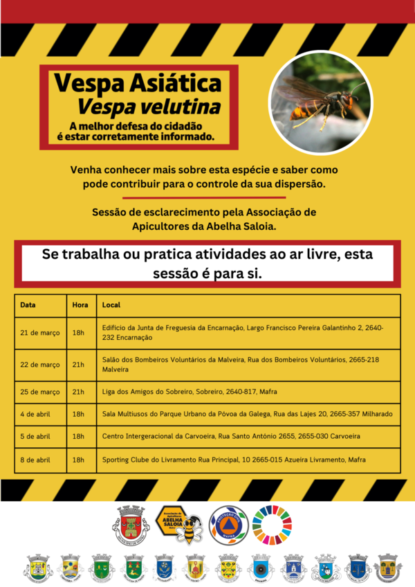 poster_vespa_asiatica__2_