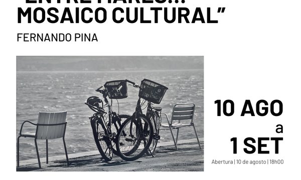 rede_exposicao_fernando_pina