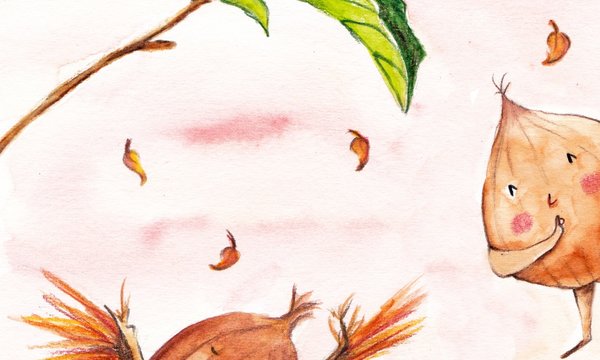 penso__logo_ilustro_a_vida_de_uma_castanha
