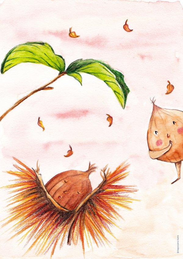 penso__logo_ilustro_a_vida_de_uma_castanha