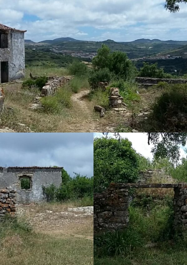 se_estas_pedras_falassem