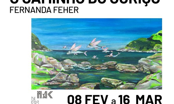 rede_exposicao_fernanda_feher_v2