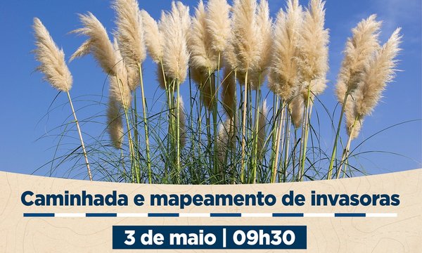 rede_cidadao_vigilante_invasoras