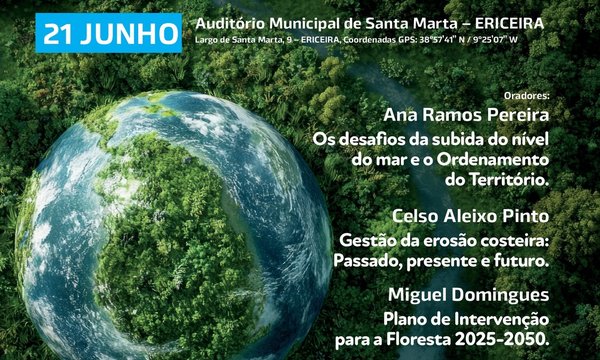 cartaz_curso_verao_icea_21_junho