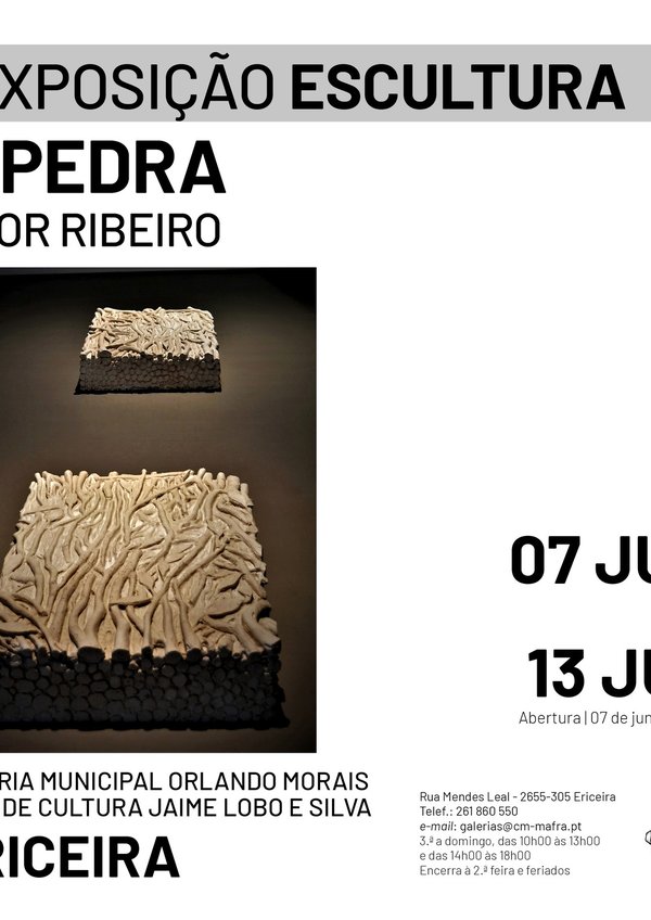rede_exposicao_vitor_ribeiro