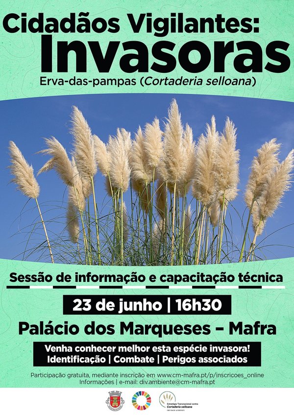 rede_sessao_capacitacao_cortaderia_selloana