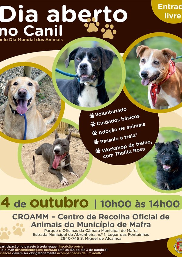 dia_aberto_no_canil_redes_sociais