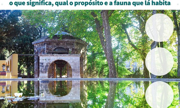 rede_arvores_biodiversidade_v2