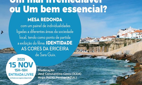 icea_cartaz_sessao_15_nov_2025