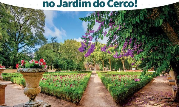 rede_dia_da_floresta_autoctone