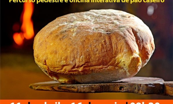 rede_o_pao_das_nossas_avos