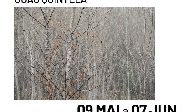 rede_exposicao___joao_quintela