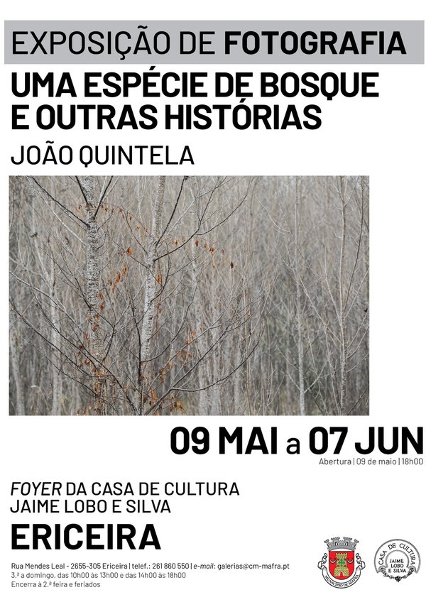 rede_exposicao___joao_quintela