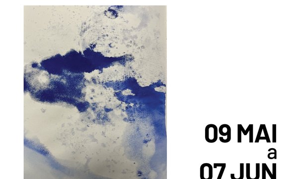 rede_exposicao___diarios_graficos