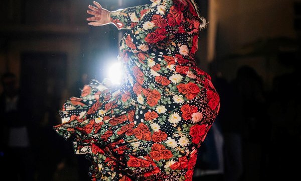flamenco