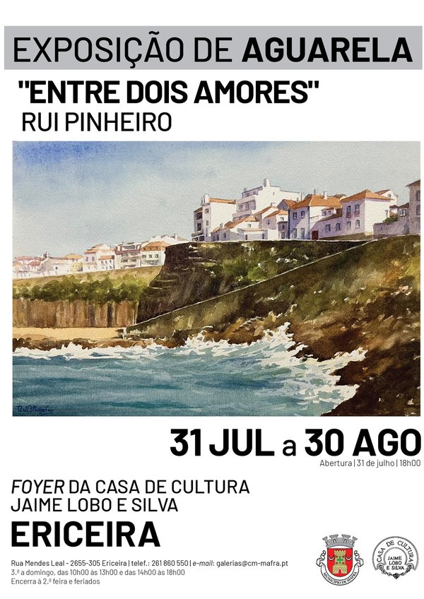 rede_exposicao___rui_pinheiro__1_