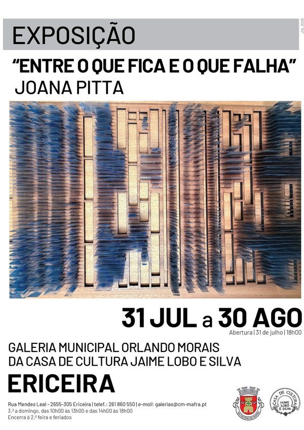 rede_exposicao___joana_pitta__1_