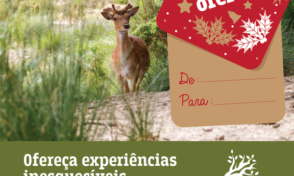 imagemvoucher_post_fb_04_04