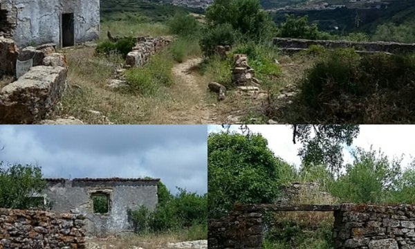 se_estas_pedras_falassem_0