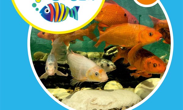 o_fluviario_vai_a_escola