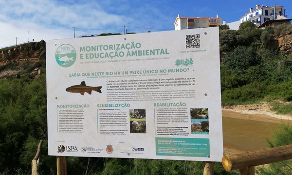painel_peixes_nativos_praia_de_sao_lourenco