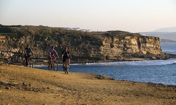 42655478_binary_gi19012022ln0002861