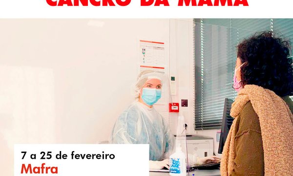 imagens_cancrodamama3