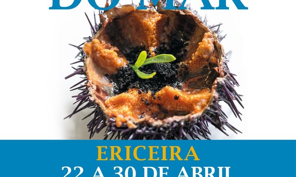 cartazredessociais_festivaldoourico2022