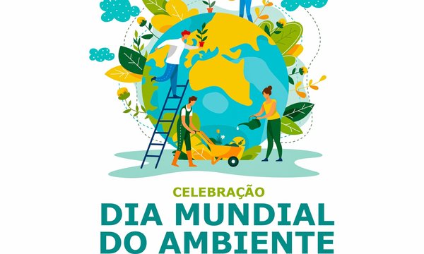 rede_quadrado_dia_mundial_do_ambiente