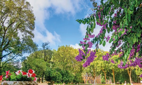 agendacultural_junho_2022