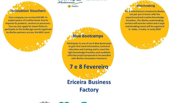 poster_4helix_info_smes_eng_1