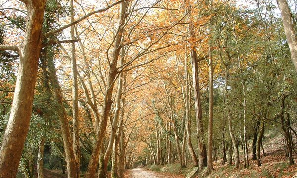 tapada_3_1_1024_2500