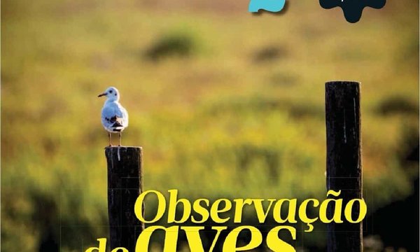 evasoes_jn__20221104_jornaispt__221104_114743_001