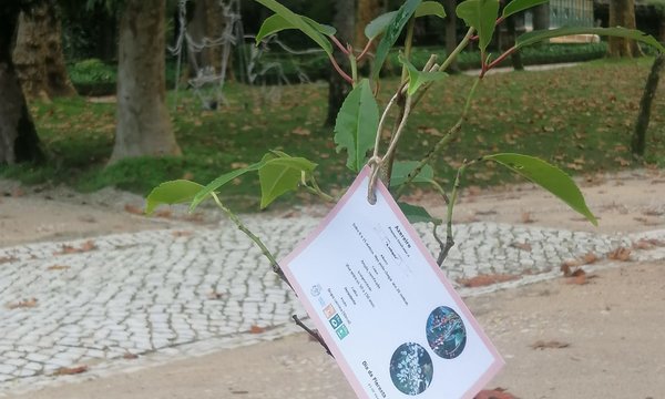 6079e114_1f2a_41cb_ab43_5fdffa9faa41