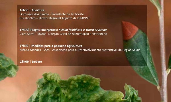 programa_workshop_001