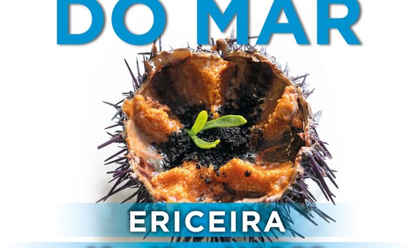 facebook_festival_ourico_2023