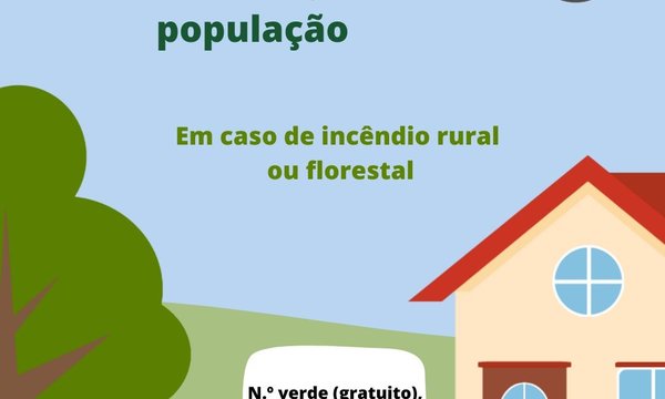 incendios_florestais