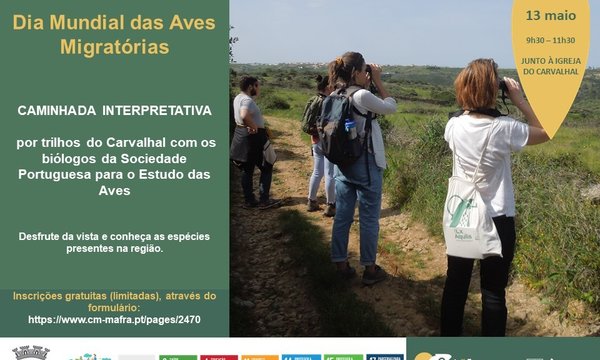 dia_das_aves_migratorias