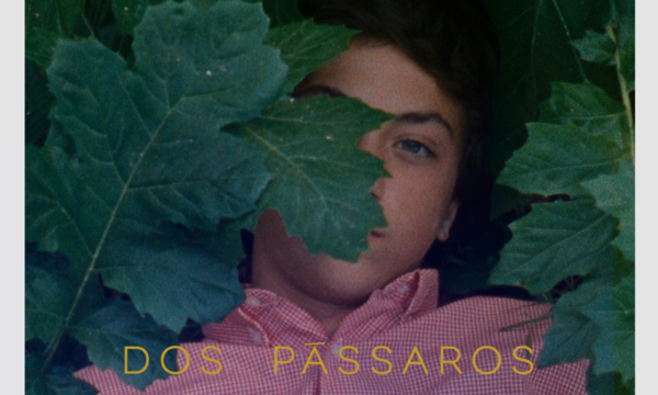 cinemafra_metamorfose_dos_passaros___6_novembro