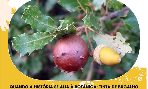 tinta_de_bugalho___cartaz__1_
