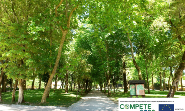 1___04_fotografia_jardim_cerco_20220222_1_1024_2500