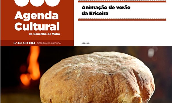 redessociaisv